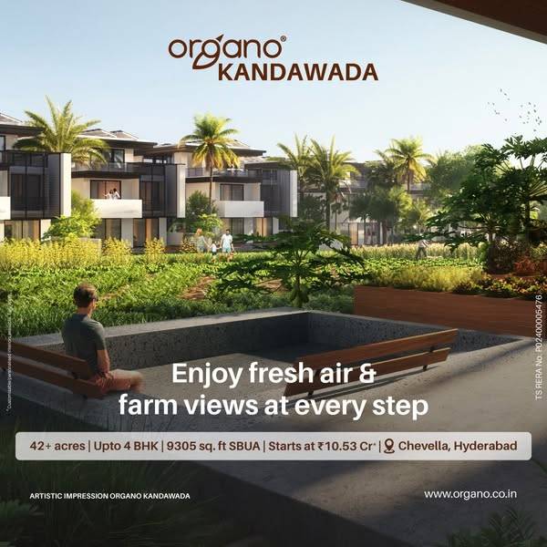Ad by Organo